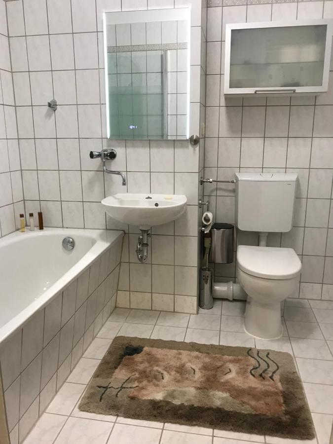 Zentrumsnahe Leipzig-Apartments, Nahe Ufz Und Bmw Inkl Parkplatz Und Fahrraeder Buitenkant foto