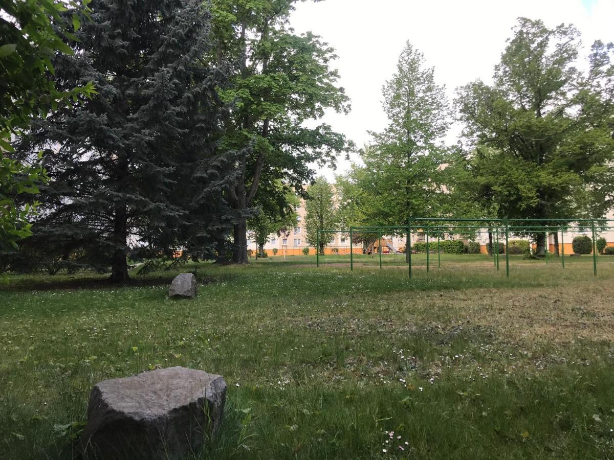 Zentrumsnahe Leipzig-Apartments, Nahe Ufz Und Bmw Inkl Parkplatz Und Fahrraeder Buitenkant foto