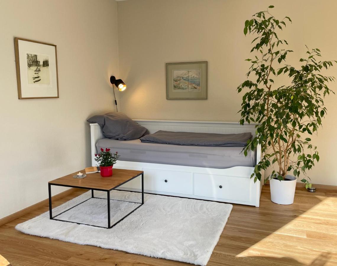 Zentrumsnahe Leipzig-Apartments, Nahe Ufz Und Bmw Inkl Parkplatz Und Fahrraeder Buitenkant foto
